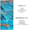 スイムブレースSWIMBRACEジュニアサイズ2個1組水泳競泳練習トレーニング練習用具子供用SBJR