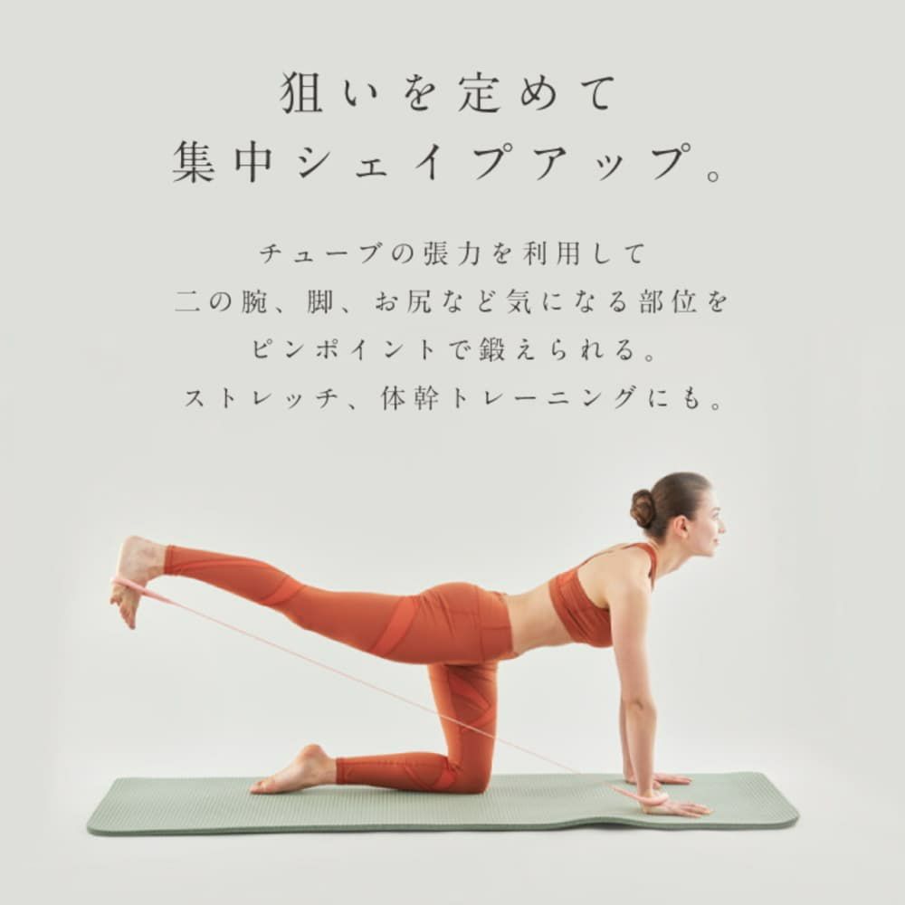 MIVIOSミヴィオスハンドルチューブミディアム負荷12kgグリーンアルインコALINCOフィットネスエクササイズ筋トレストレッチトレーニングMVS302G