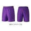 MIZUNOミズノマイクロフトショートパンツトレーニングウェアユニセックスN2JDC013